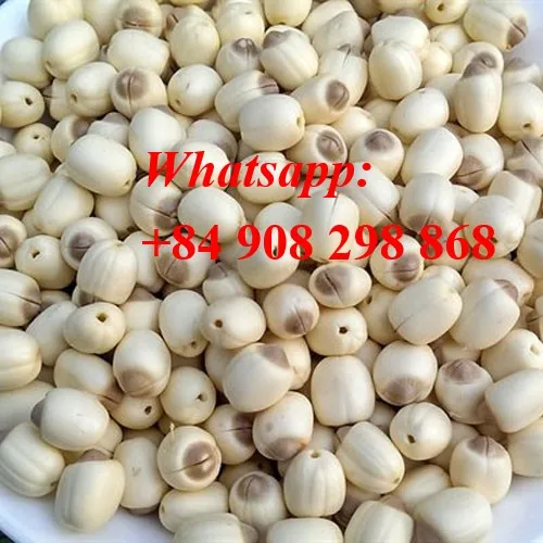 the high quality lotus seeds/ Vivian Ha +84 33 8820462