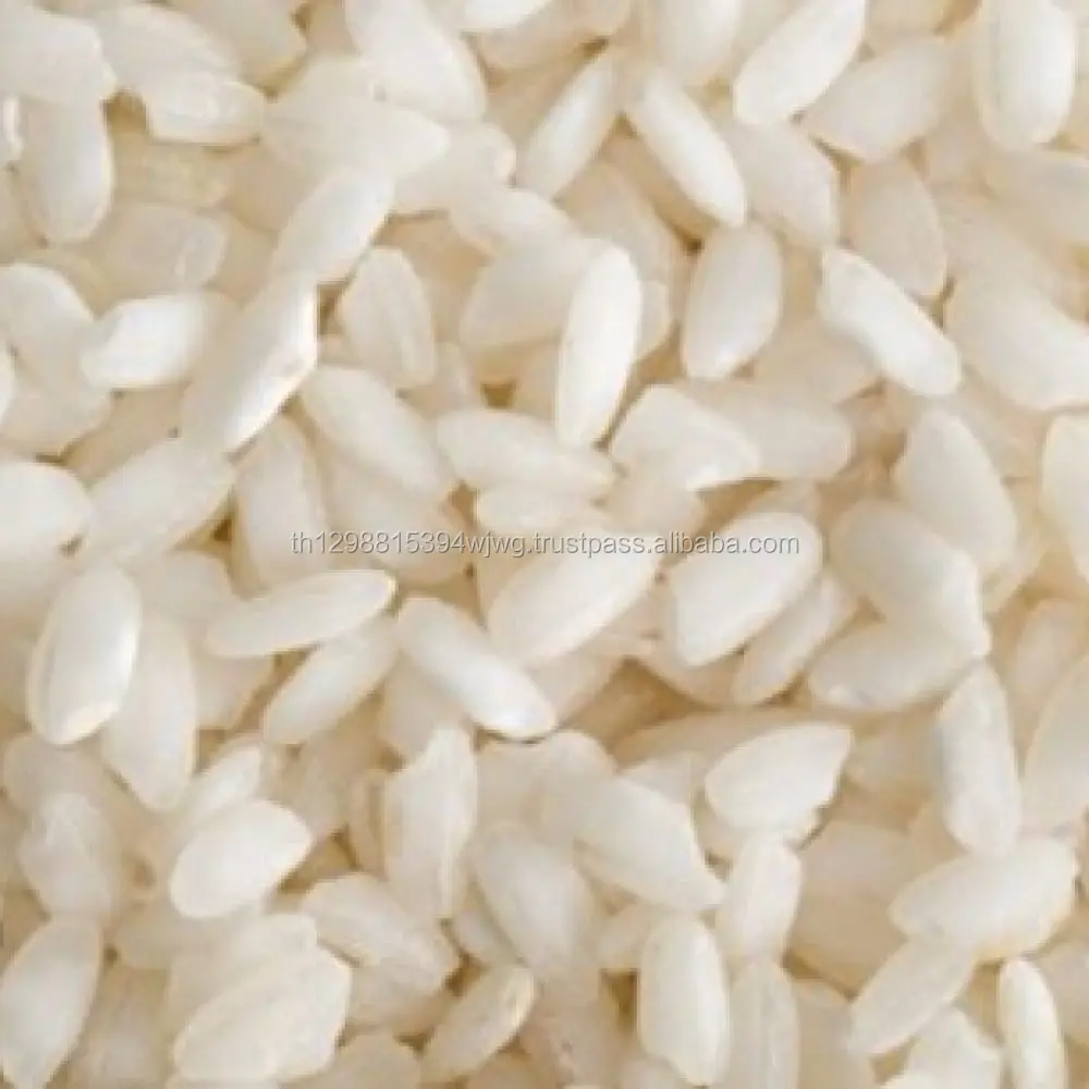 Long Grain IRRI-6 100% Broken Silky-Sortex White Rice