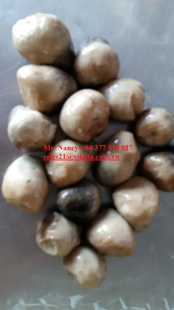 
SALTED PADDY STRAW MUSHROOM FROM VIETNAM WITH BEST PRICE // Ms.Nancy +84 377 518 917 