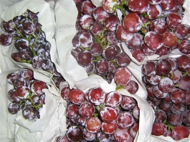 Hot Sale Fresh RED GLOBE Grapes