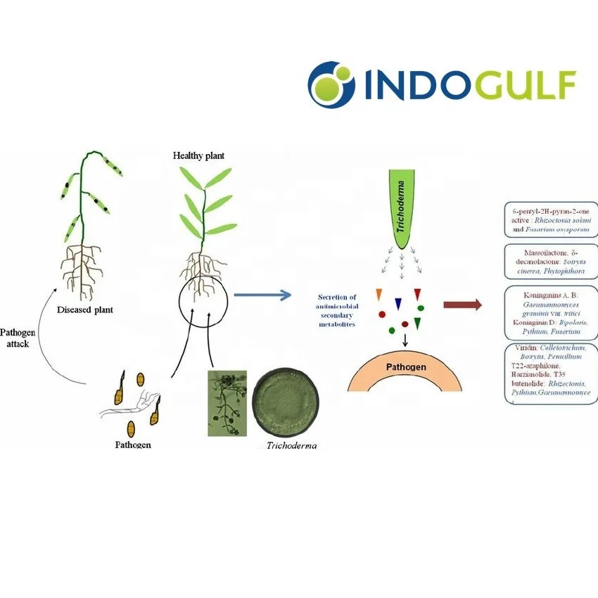 Trichoderma Harzianum Powder Probiotics for Plants Prevent Fungal and Soil Borne Diseases