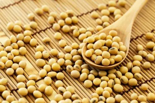 
SOYBEAN POWDER EXTRACT (Whatsapp: +84 845 639 639) 