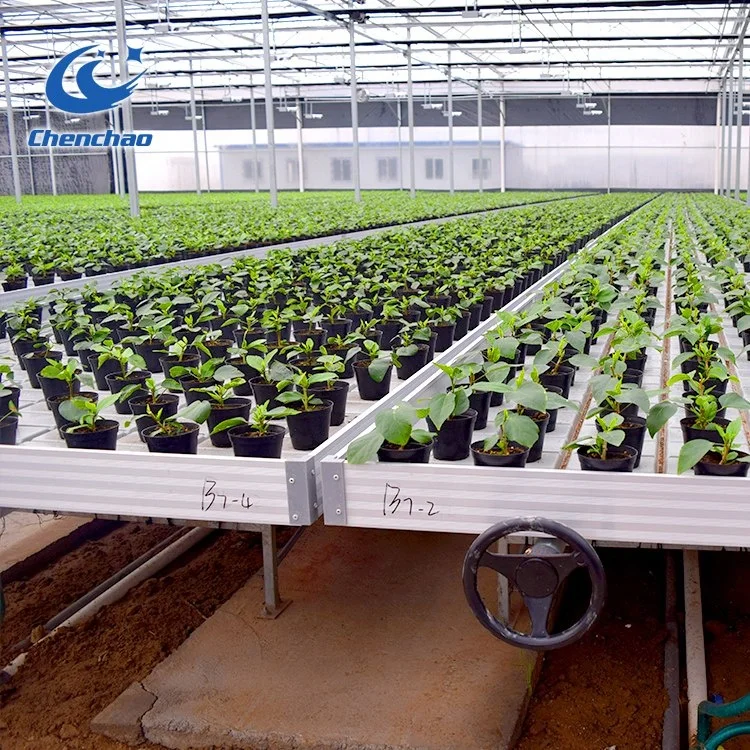 4x8 Rolling bench agriculture vertical growing ebb and flow table