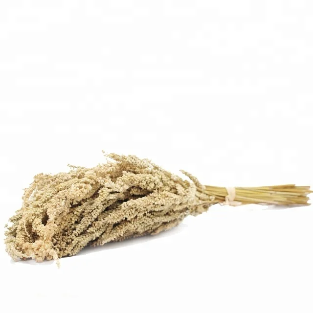 
Wholesale long Grass Beads Dried flowers for Decoration 