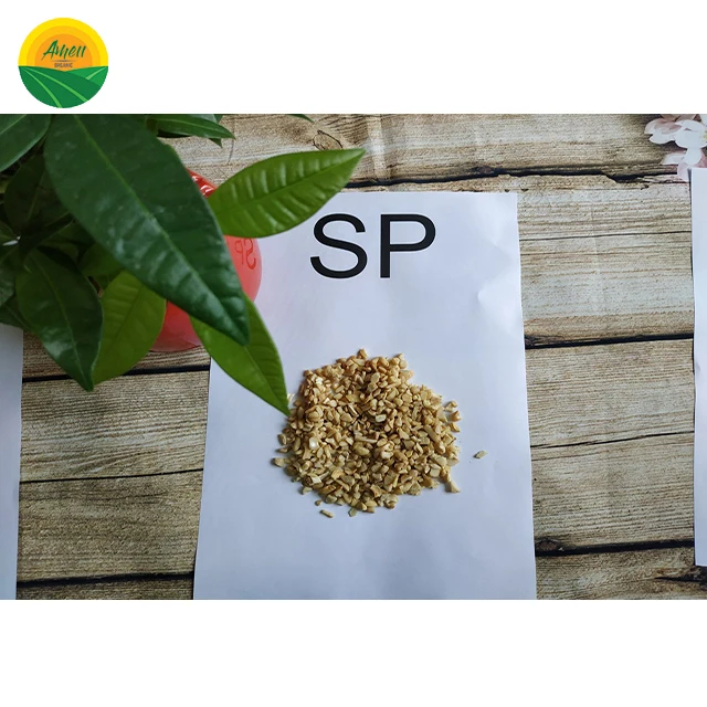 BEST SELLER IN SEASON - COMPETITIVE PRICE RAW CASHEW NUTS