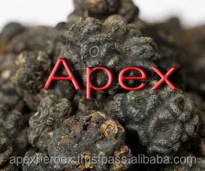 Morinda Citrifolia Noni Fruits dried Organic Apex India