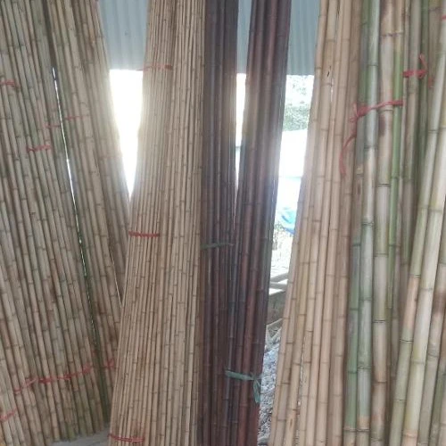 Бамбуковое сырье во Вьетнаме/бамбуковый стержень/бамбуковая