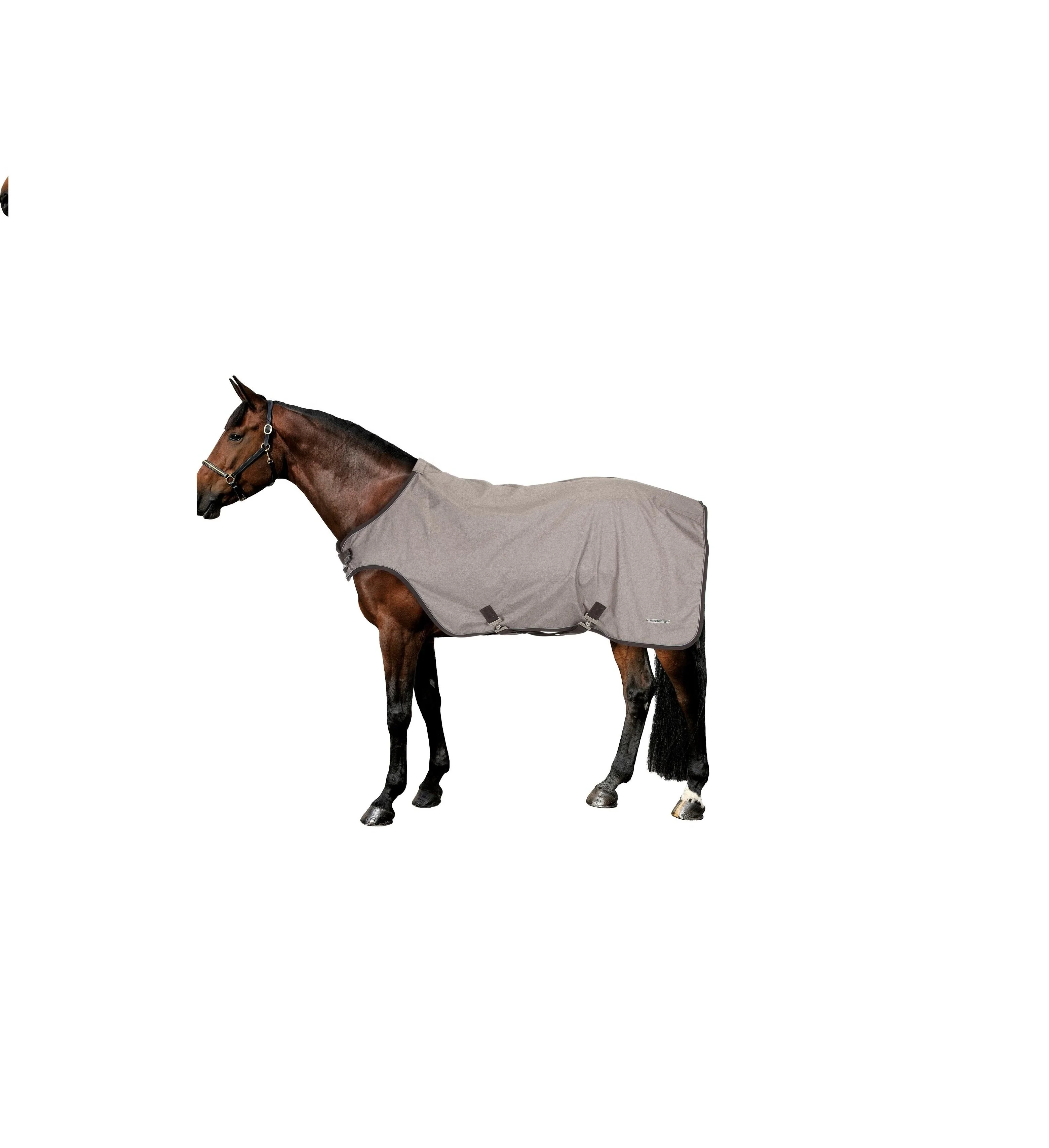BEST ON HORSE  RIDING ON WATERPROOF LIGHTWEIGHT COVER EXERCISE RUG ALL SIZES