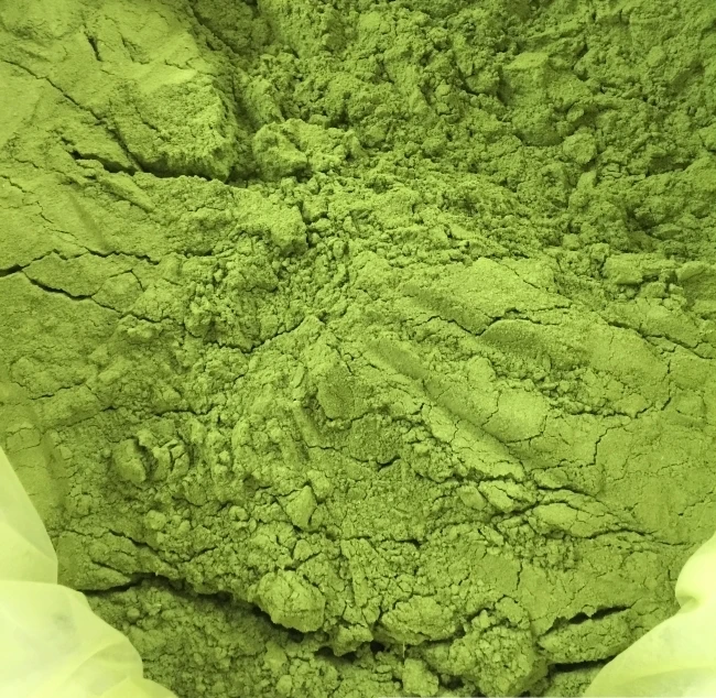 SPINACH LEAF/ PANDAN LEAF ( FRESH/FROZEN/DRIED/POWDER) FOR EXPORT