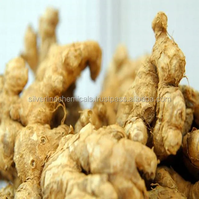 GINGER ESSENTIAL OIL