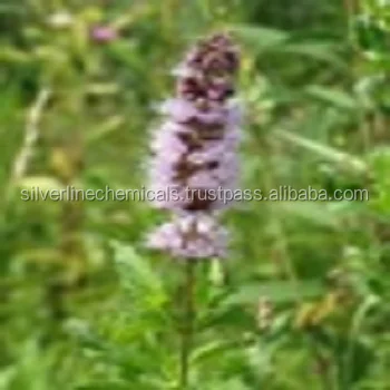 SPEARMINT OIL 60% suppliers