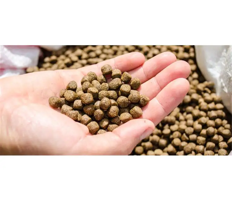 Fish meal / Animal/ poultry feed / supplier