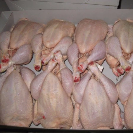 HALAL, цельная замороженная курица и запчасти для продажи