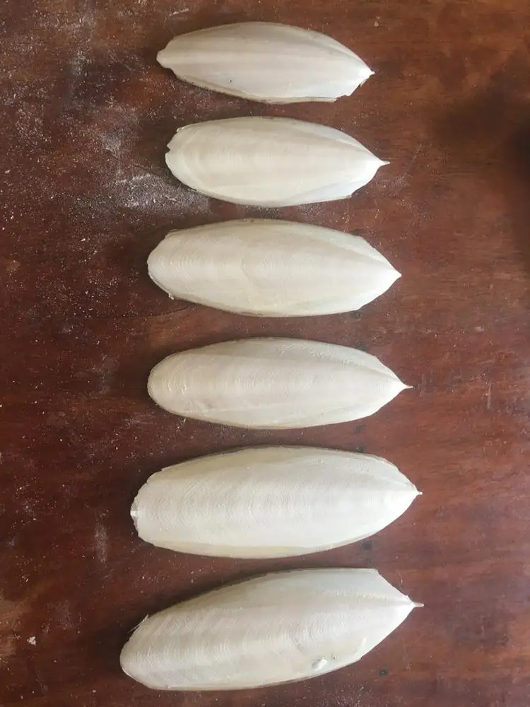 
Dried Cuttlefish bone for cattle feed/ cuttlefish bones powder ( MS.HOLIDAY Whatsapp +84-845-639-639) 