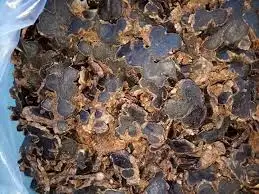 
BLACK GINGER EXTRACT /whatsapp: +84 845 639 639 