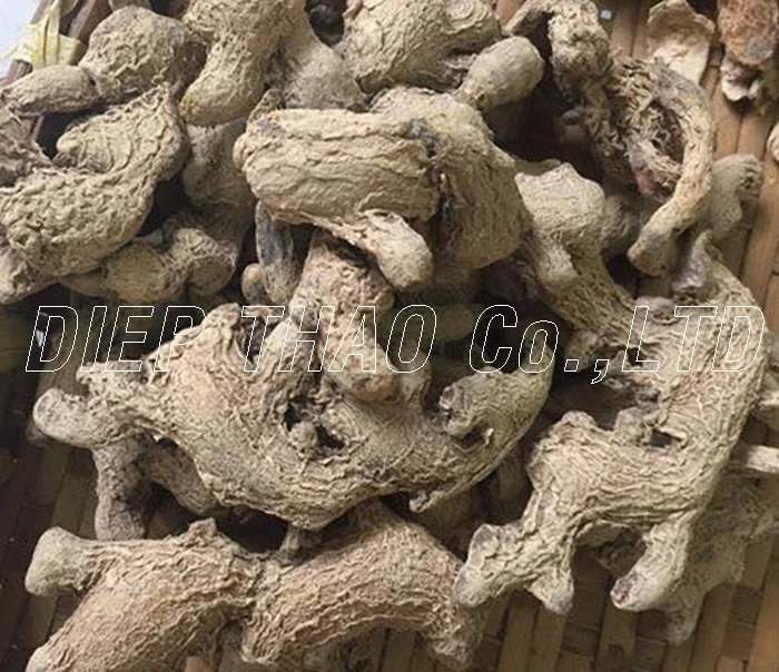 The supplier ginger from Vietnam ginger powder/ dried slices ginger/ fresh ginger