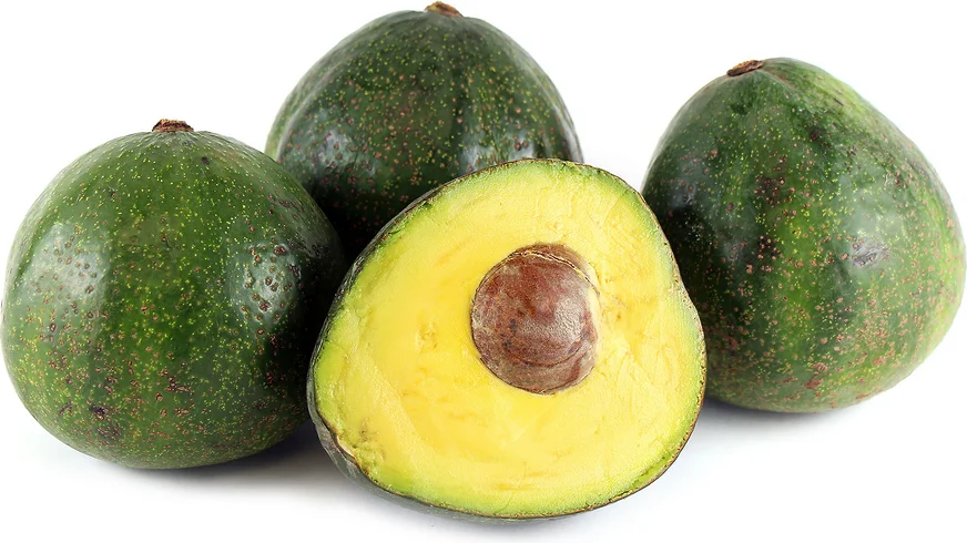 FRESH AVOCADO good quality