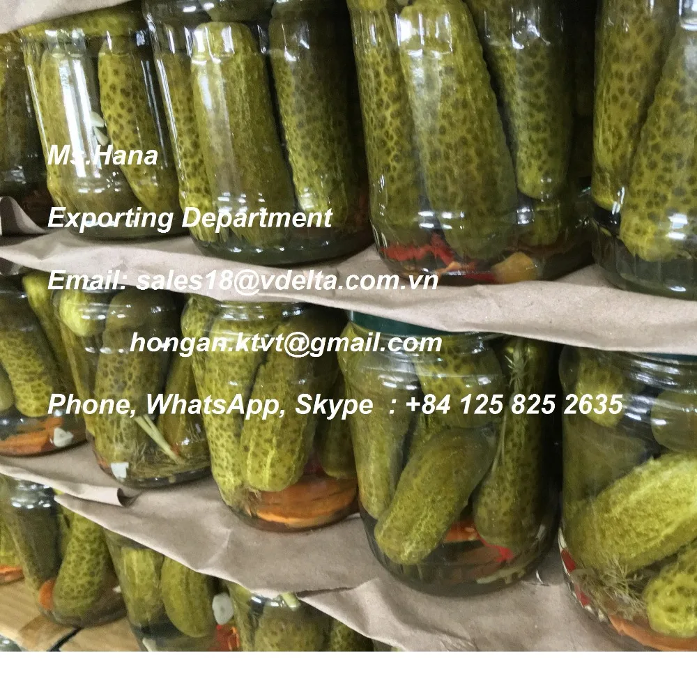 Canned Cucumber (gherkins)/canned Cucumber/ Gherkin/ Bottled