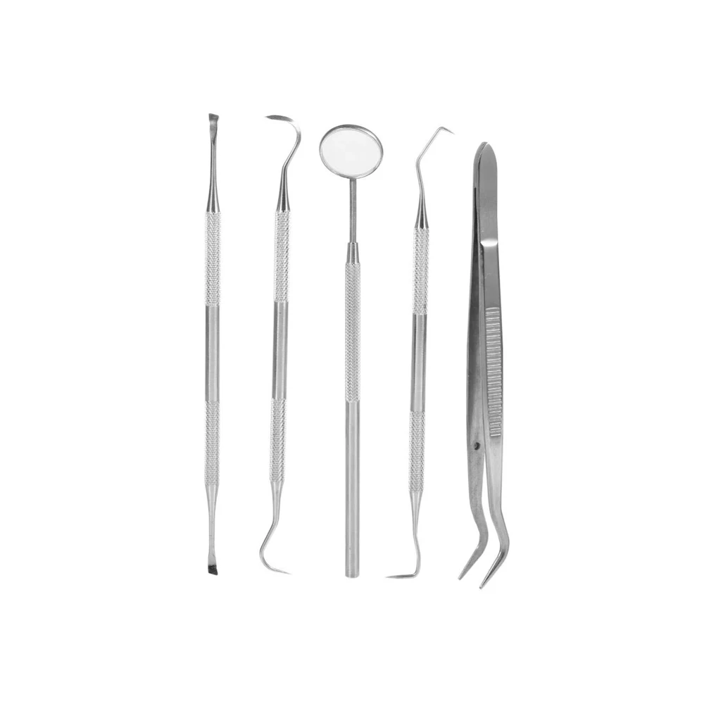 Dental Hygiene Kit Plaque Remover Set of 5 Pieces Stainless Steel CE Certificate 1 PK Manual More Than Years RS - 302
