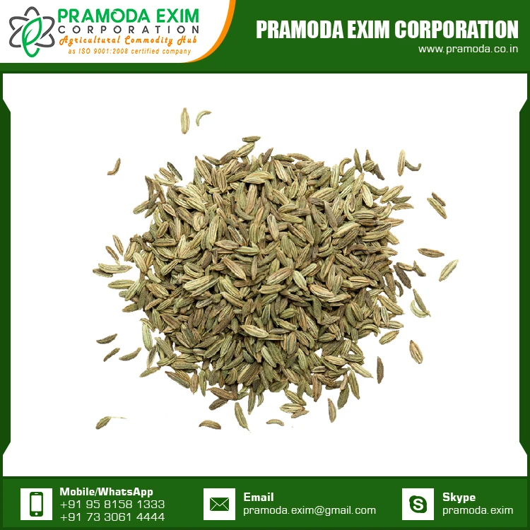 New Season Organic Fennel Seed Natural Fennel Single Spices & Herbs From India