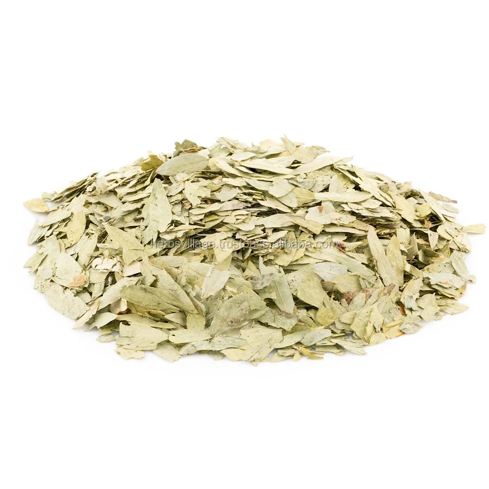 Cassia Angustifolia Extract Powder