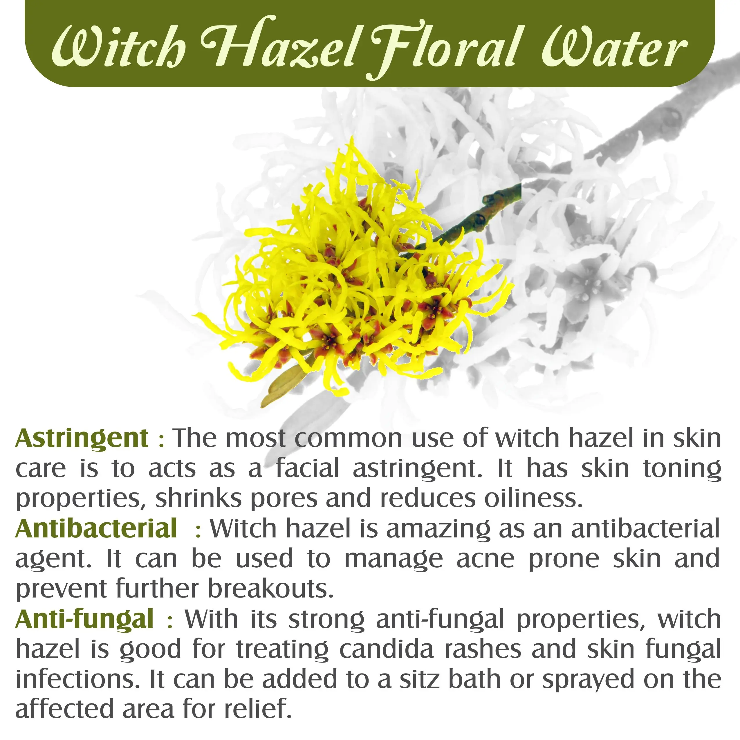 Witch Hazel Hydrosol 100% Pure and Natural