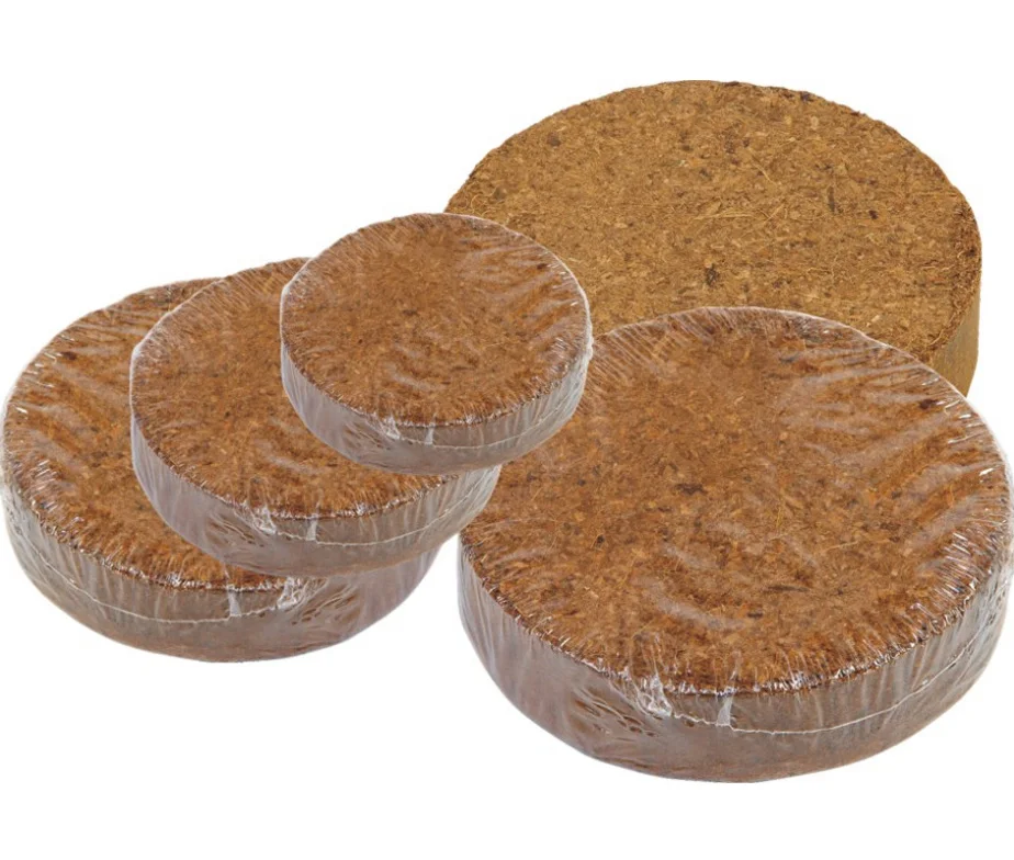 coir plug for indoor plants