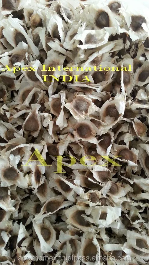 Moringa Oleifera Leaves Dried Moringa Leaf Powder TBC T CUT