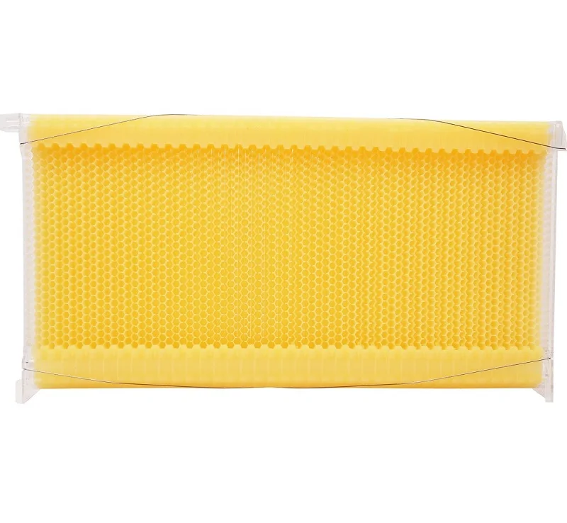 Chinese Brand automatic hive beehive honey auto frame bee hive