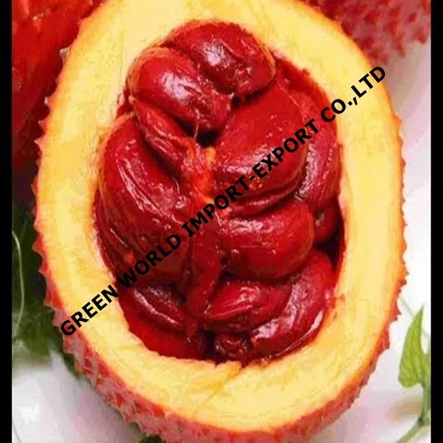 FROZEN GAC FRUIT PUREE - Momordica Cochinchinensis best fruit for human