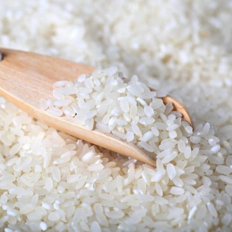 Vietnam Camolino Calrose Rice Japonica rice from Vilaconic factories _whatsapp: +84398885178