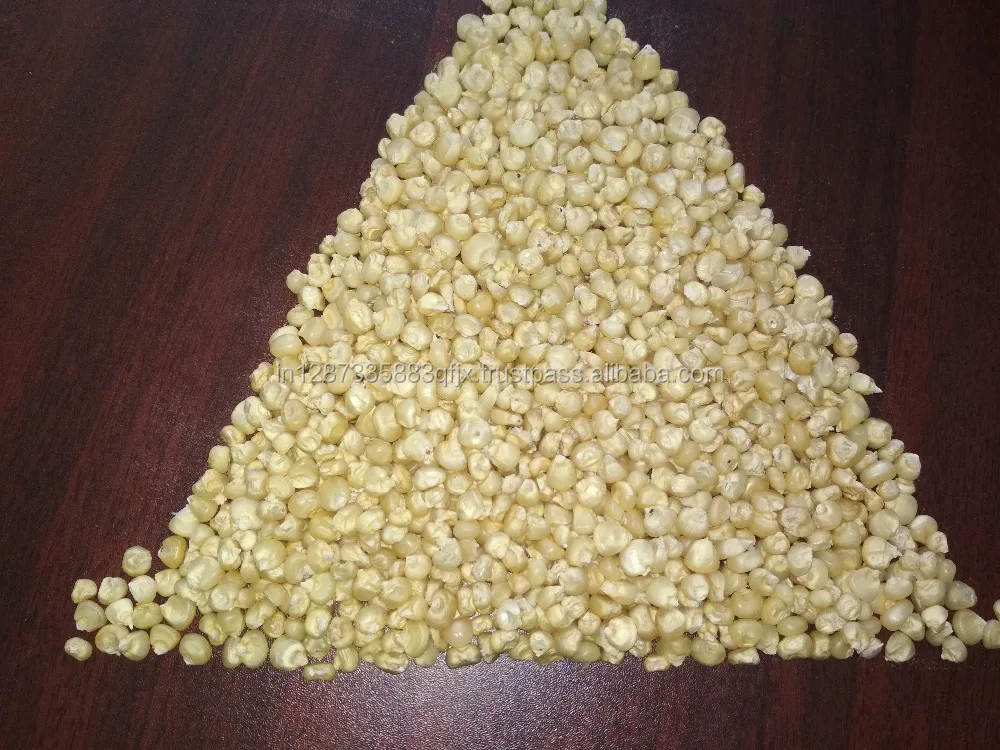  Best Quality Indian White Maize For