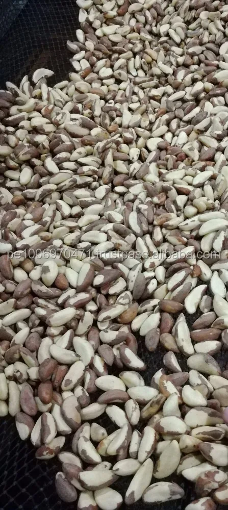 
100% PREMIUM QUALITY BRAZIL NUT SUPPLIER 