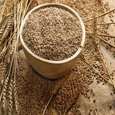 100% Quality wheat bran for Animal Feed