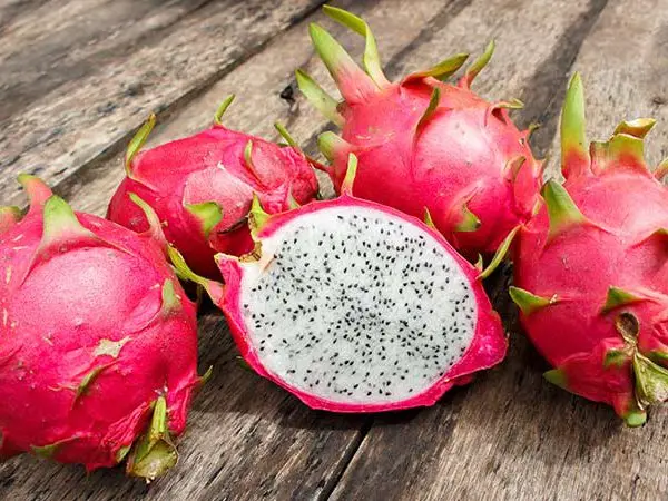 
Red and White Dragon Fruit 2021/ Whatsapp +84 845 639 639 