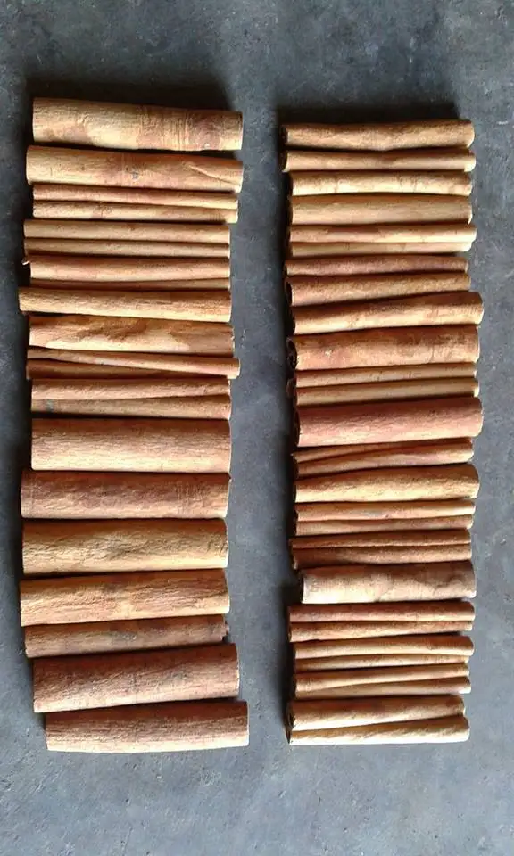 HIGH QUALITY SPLIT/ POWDER /TUBE /BROKEN CASSIA CINNAMON VIETNAM