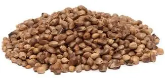 
Hemp Seeds,High quality Hemp Seeds For Sale,Hemp Seeds of best quality 