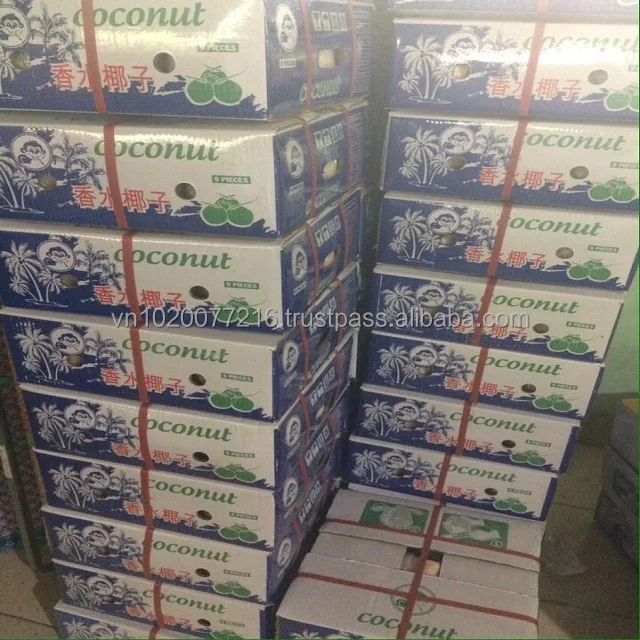 YOUNG VIETNAM COCONUT