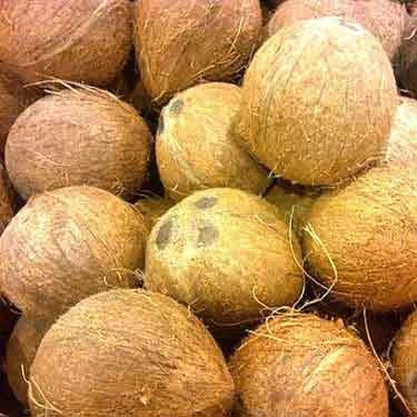 
DRIED SEMI HUSKED COCONUT FROM VIETNAM/MATURE FULLY DE-HUSKED COCONUT SEASON 2019 