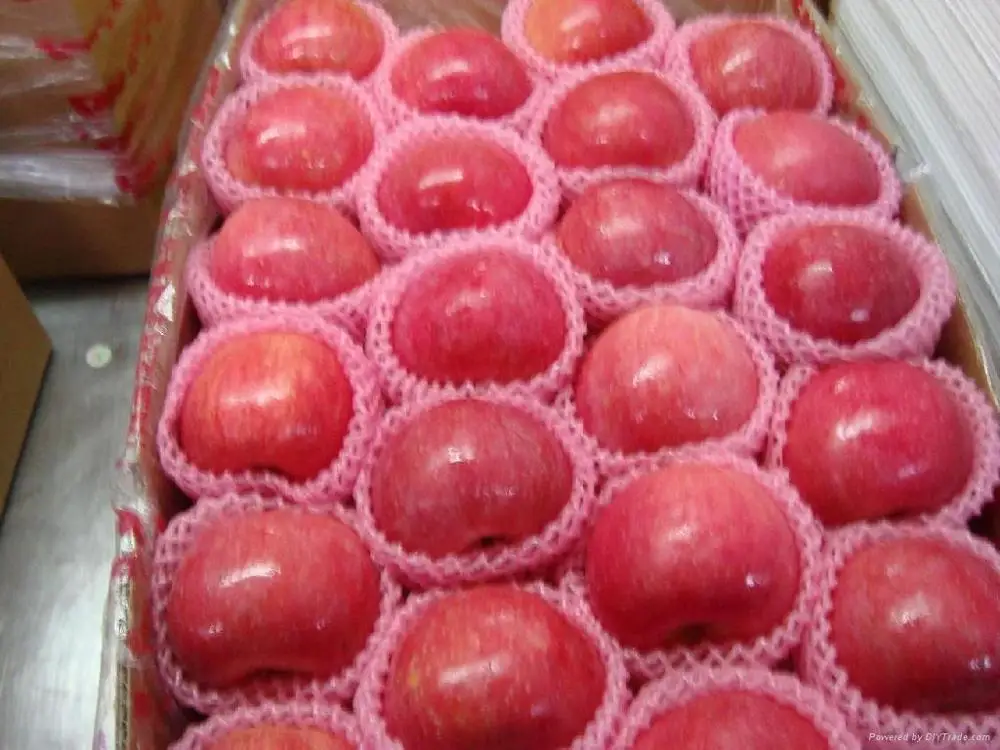 
Fresh Cheap Price Fuji Apples 