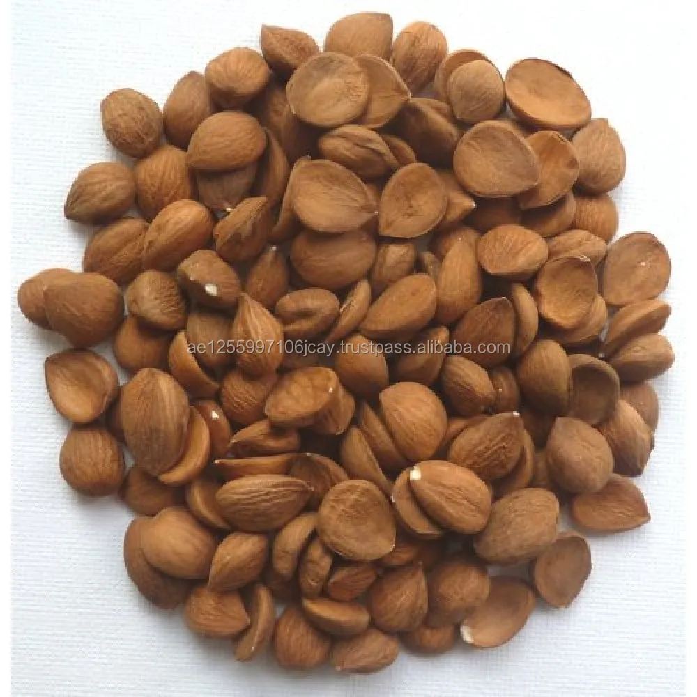 
apricot kernel 