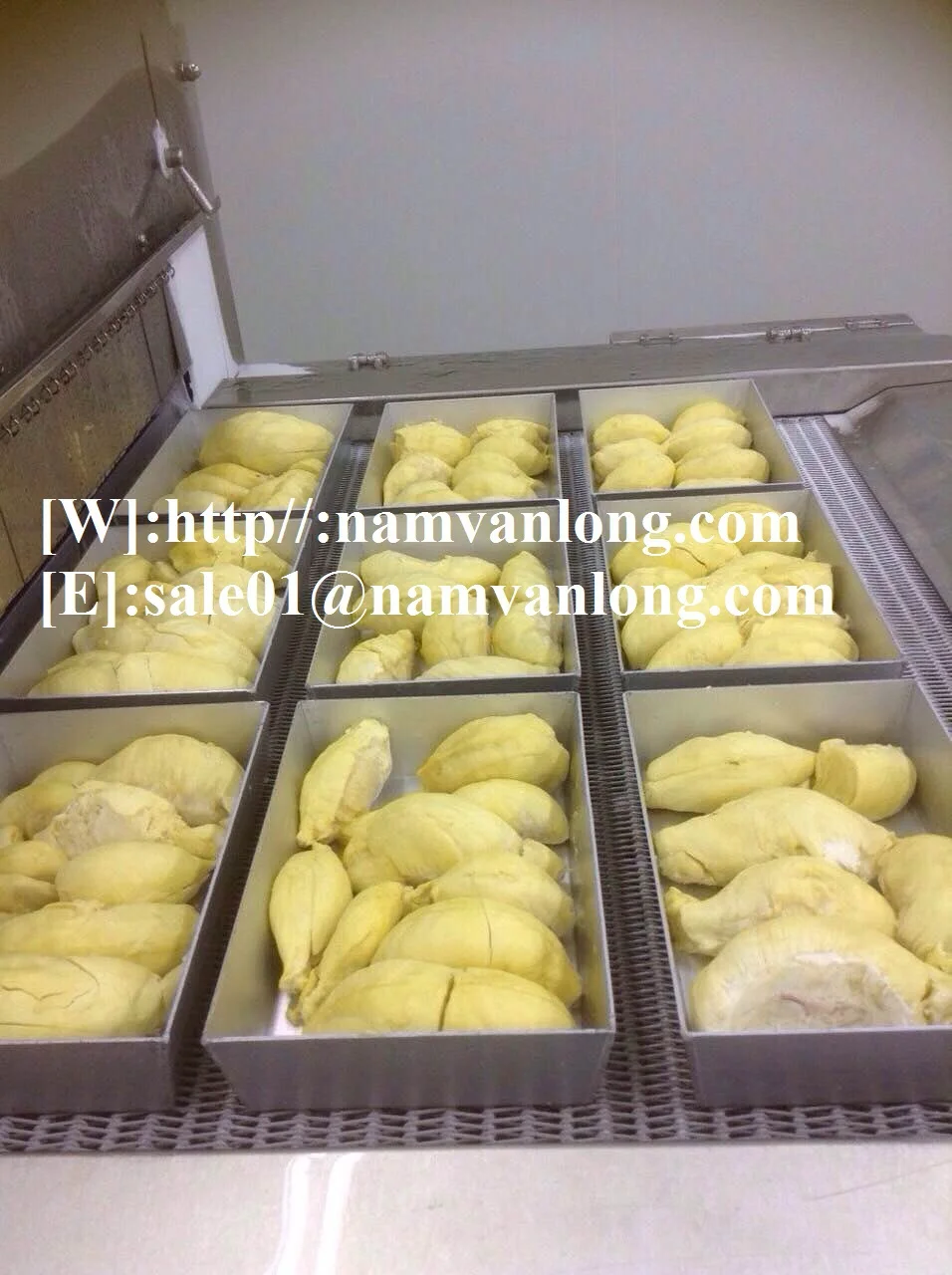 TOP EXPORT PRODUCT! GOOD DURIAN FRUIT WITH HIGH QUALITY AND BEST PRICE