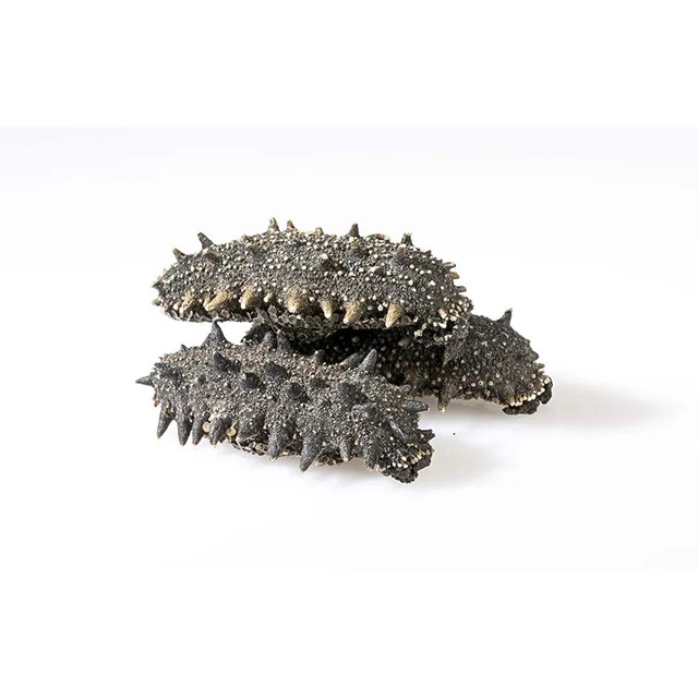 Dried Holothuria Tubulosa Sea Cucumber Canadian high quality cucumaria frondosa