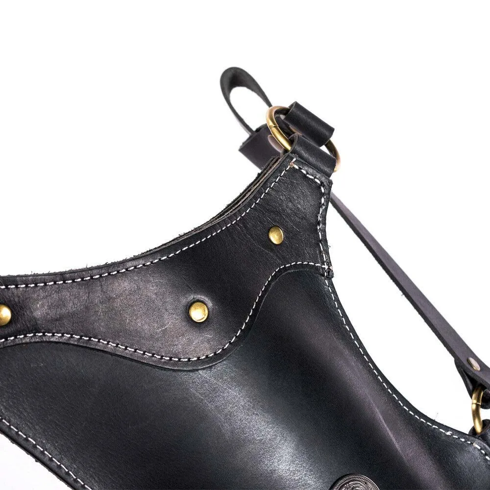 Handmade Traditional Black Cow Leather Archery Arrows Side Quiver