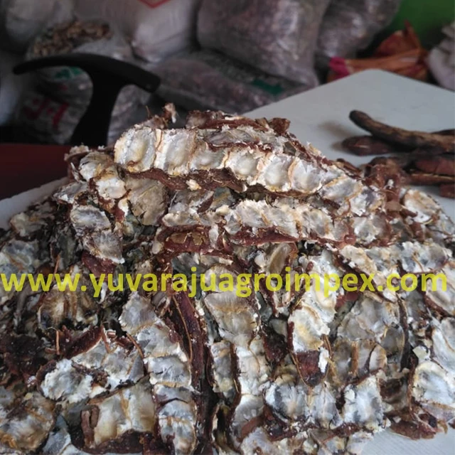 Бессаженные экспортеры тамаринда из Индии в Мексику/Доминиканскую Республику/Объединенные Арабские Эмираты