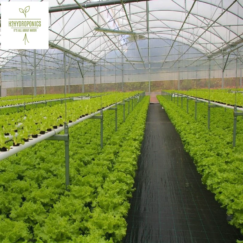 
Hydroponic Controllers and Mixers For Greenhouses and Professional Growers 