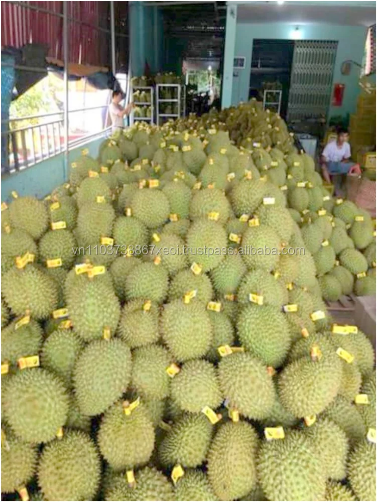 
IQF DURIAN MEAT SUPPLIERS VIETNAM in 2020 