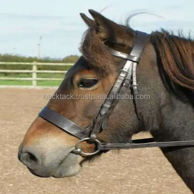 Smooth Fini sh Leather Halter Brown Color Soft Ship Pink Color Padded With Brass Hardware Manufacturer In India