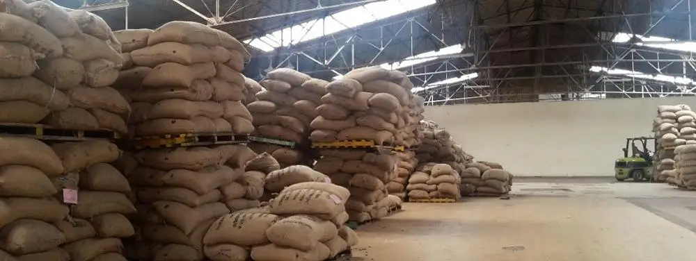 
2021 Sweet California Almonds Available 