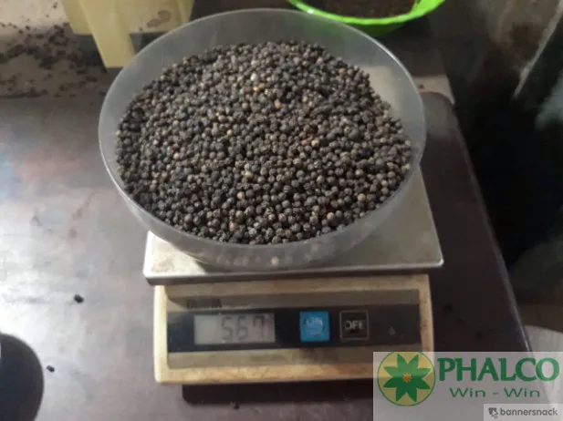 Wholesale Price 6 months Shelf Life High Quality Spices Great Taste Natural Dried Black Pepper from Vietnam